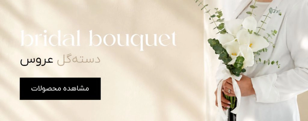 file 00000000a884720a9257a4257df86f72