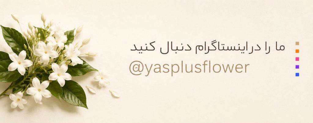file 00000000c900720aab9613954a06ef08